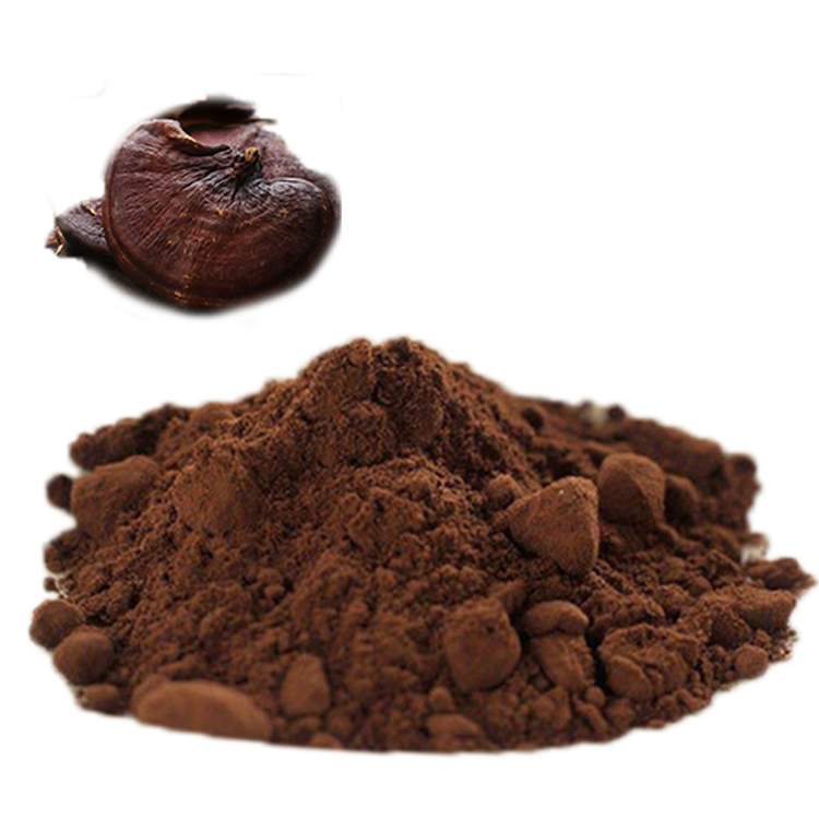 Best Red Reishi Extracts with Smooth Texture for Gourmet Use